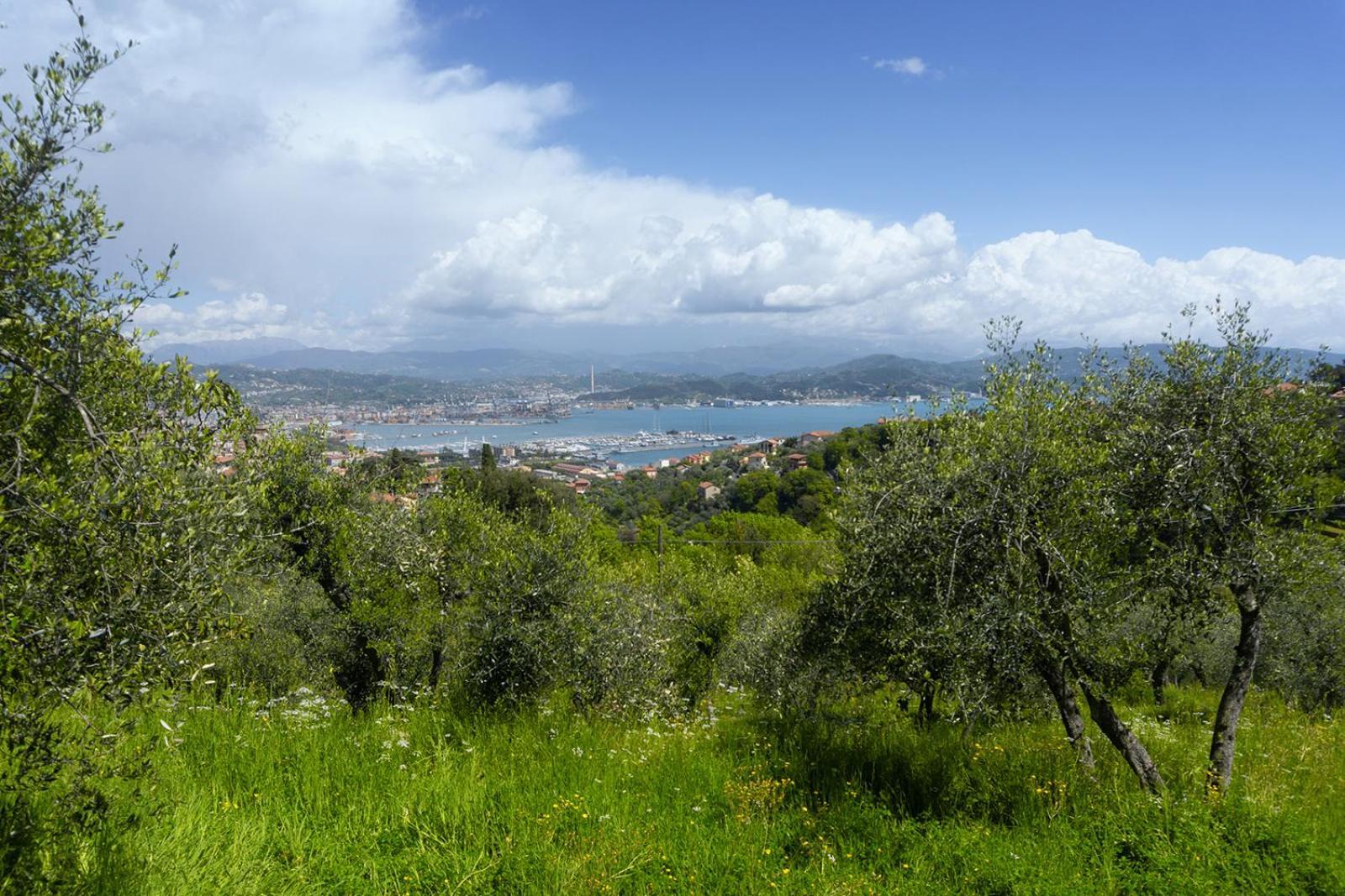 Gli Ulivi Sul Golfo E Le 5 Terre Appartement La Spezia Buitenkant foto