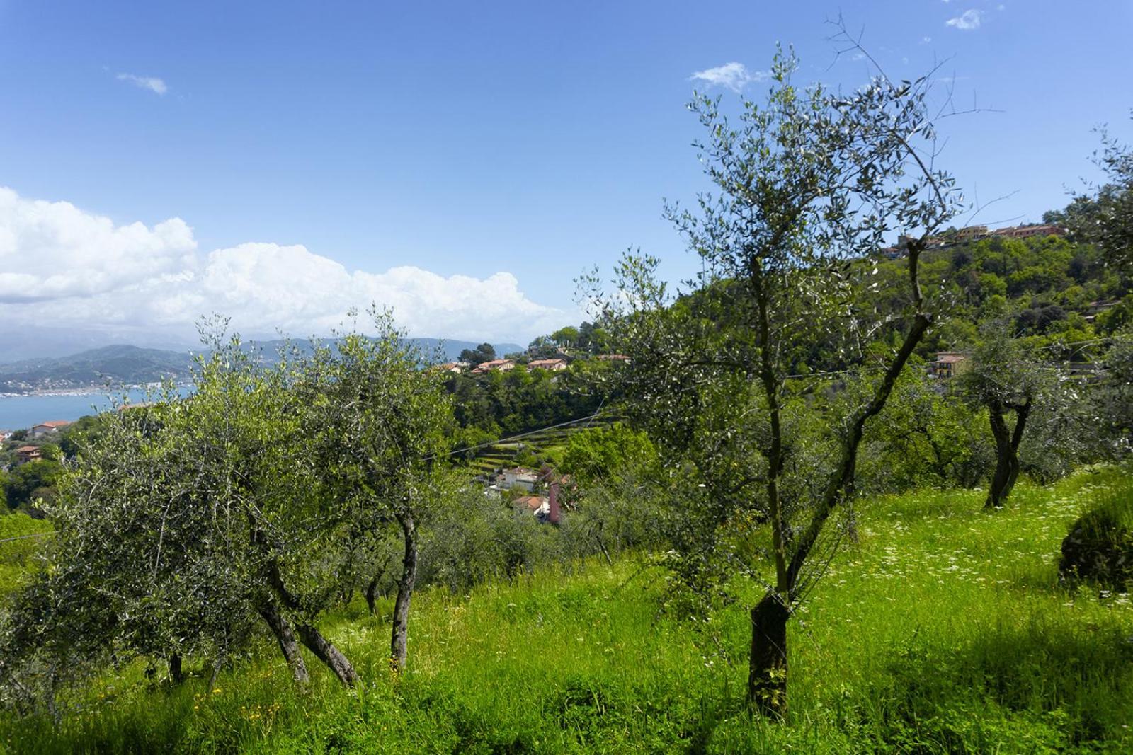 Gli Ulivi Sul Golfo E Le 5 Terre Appartement La Spezia Buitenkant foto