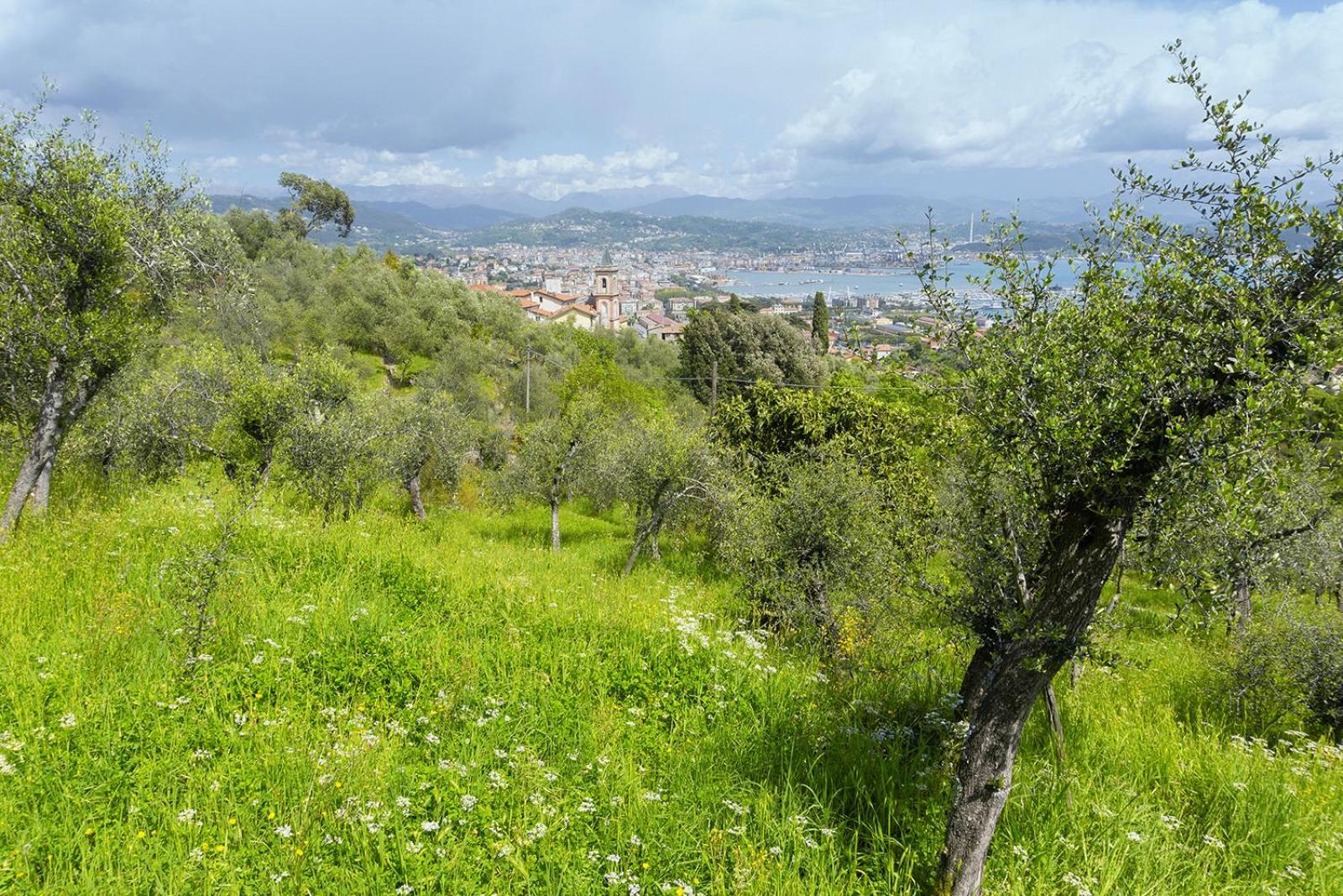 Gli Ulivi Sul Golfo E Le 5 Terre Appartement La Spezia Buitenkant foto