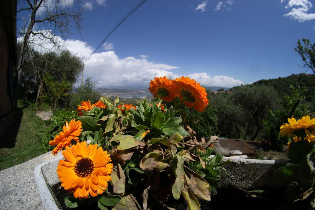 Gli Ulivi Sul Golfo E Le 5 Terre Appartement La Spezia Buitenkant foto