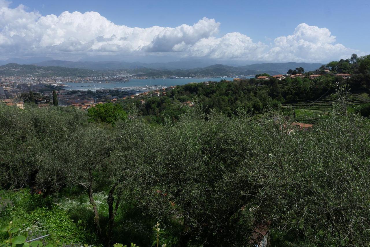 Gli Ulivi Sul Golfo E Le 5 Terre Appartement La Spezia Buitenkant foto