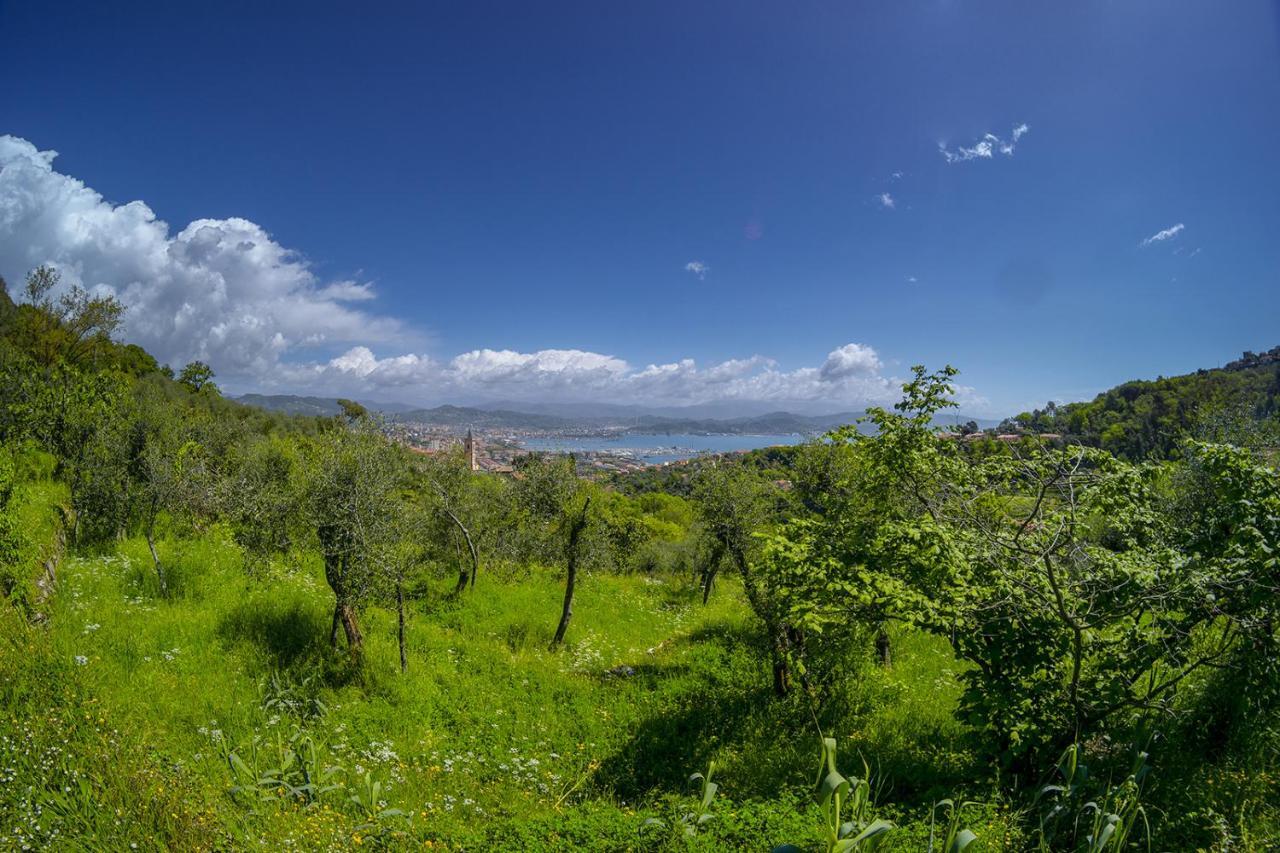 Gli Ulivi Sul Golfo E Le 5 Terre Appartement La Spezia Buitenkant foto